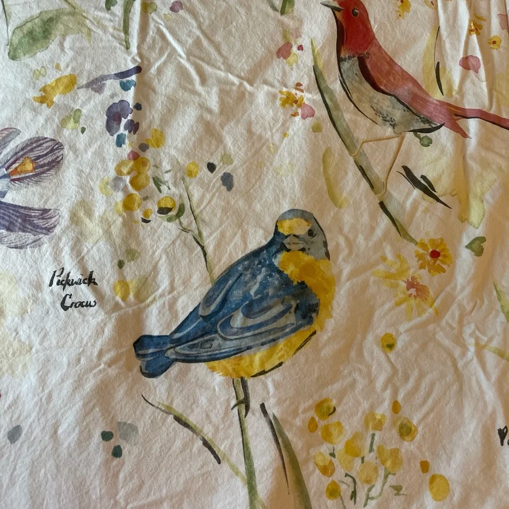 Pottery Barn Painterly Bird Duvet Cover full/queen